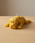 Sleeping Puppy Candle – 13cm